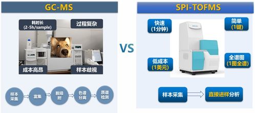 36氪首发 | 呼气检测感染性疾病和癌症，「步锐科技」获数千万元A轮融资，推动数字科技创新检测技术