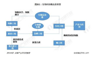 生物科技领域细分痛点与数字科技技术转让的深度融合路径